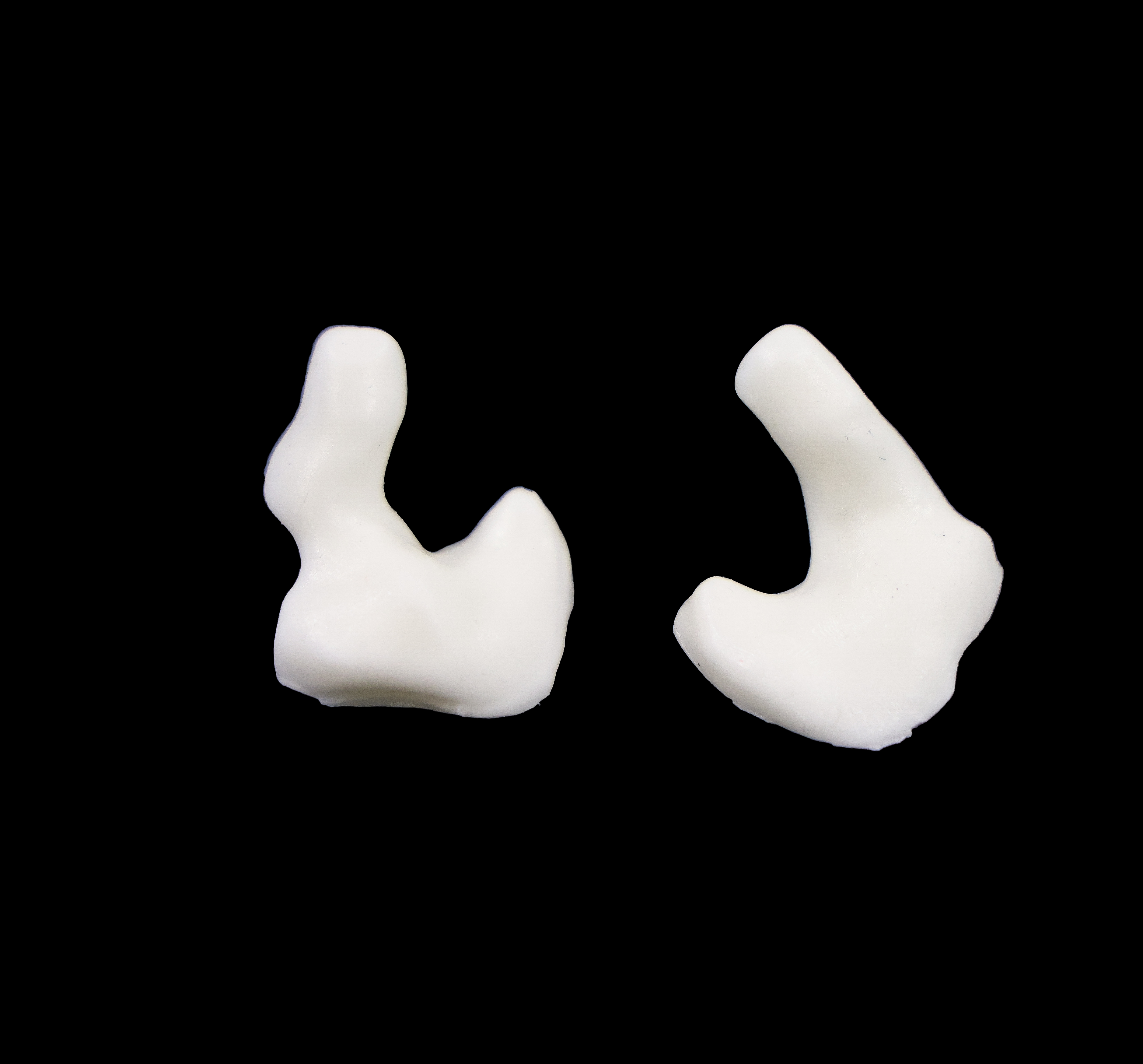 Custom earplugs